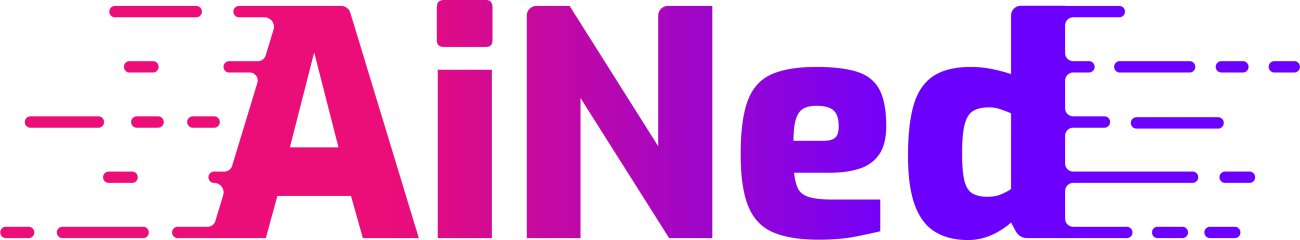 AiNed Foundation